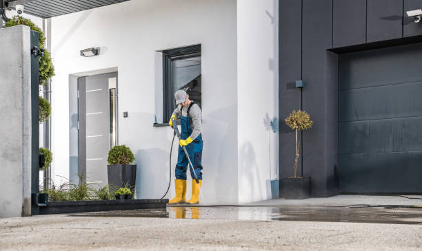 Best Roof Cleaning and Mildew Removal in Sullivan, MO